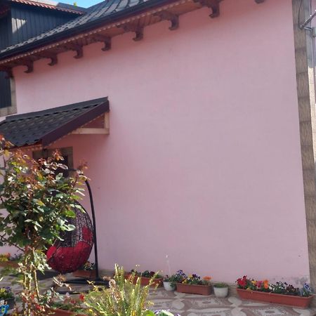 Pensiunea Happy Flowers Greci Exterior photo