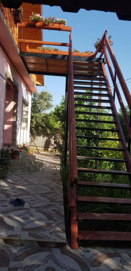 Pensiunea Happy Flowers Greci Exterior photo