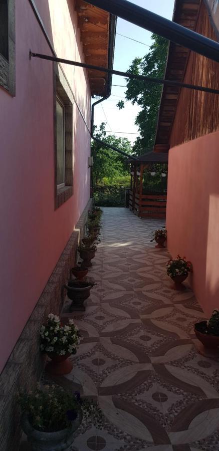 Pensiunea Happy Flowers Greci Exterior photo