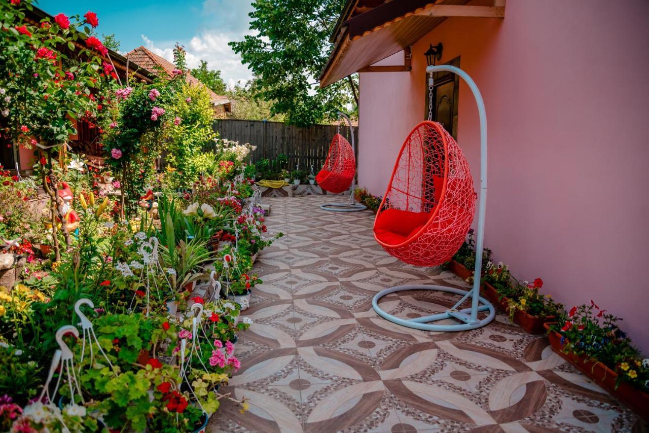 Pensiunea Happy Flowers Greci Exterior photo