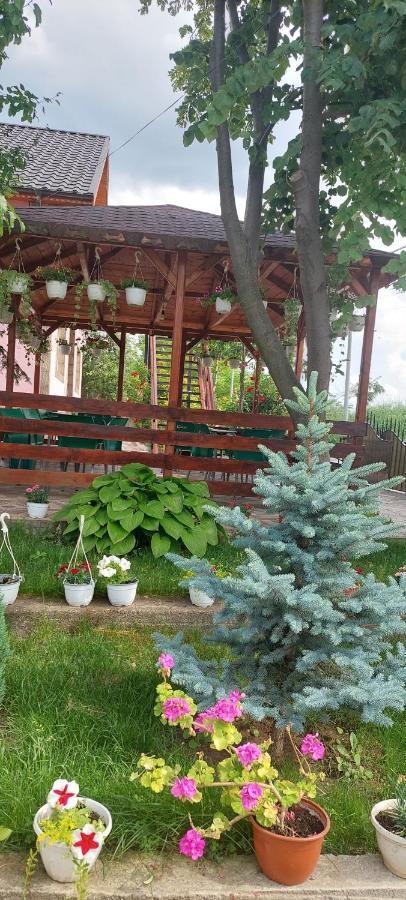 Pensiunea Happy Flowers Greci Exterior photo
