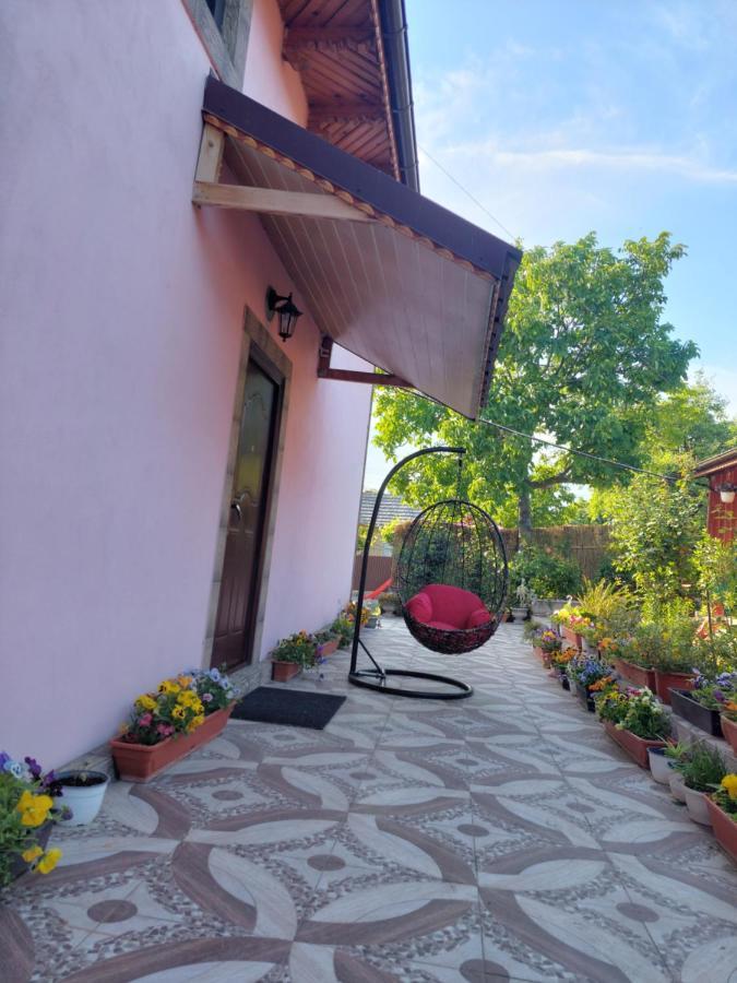Pensiunea Happy Flowers Greci Exterior photo
