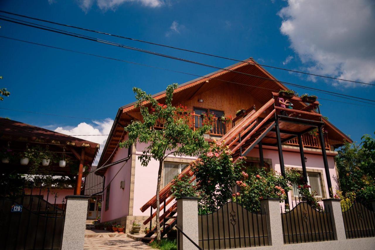 Pensiunea Happy Flowers Greci Exterior photo