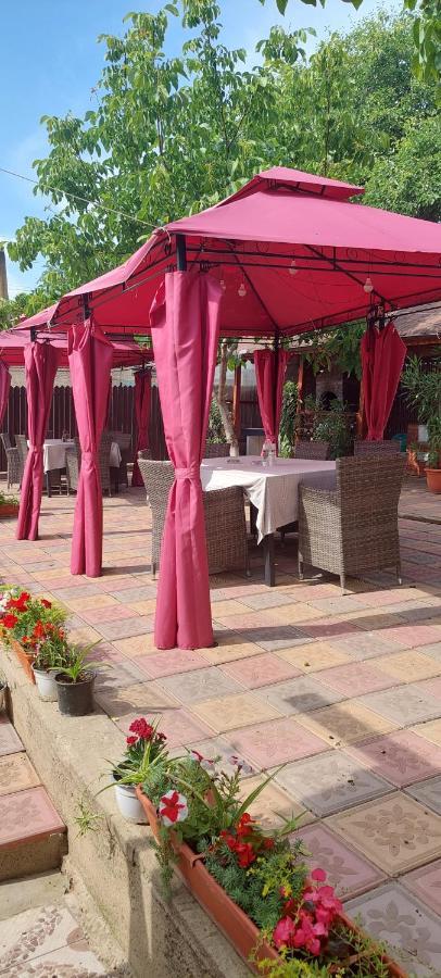Pensiunea Happy Flowers Greci Exterior photo