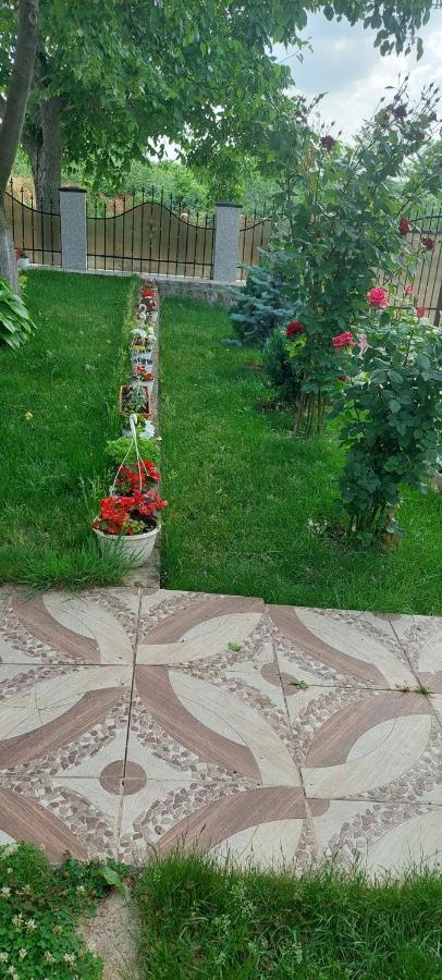 Pensiunea Happy Flowers Greci Exterior photo