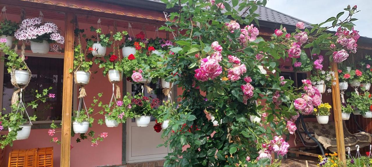 Pensiunea Happy Flowers Greci Exterior photo