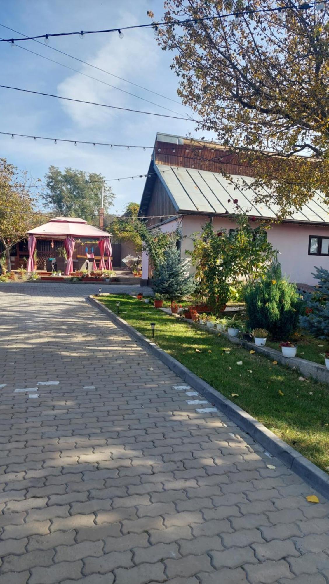 Pensiunea Happy Flowers Greci Exterior photo