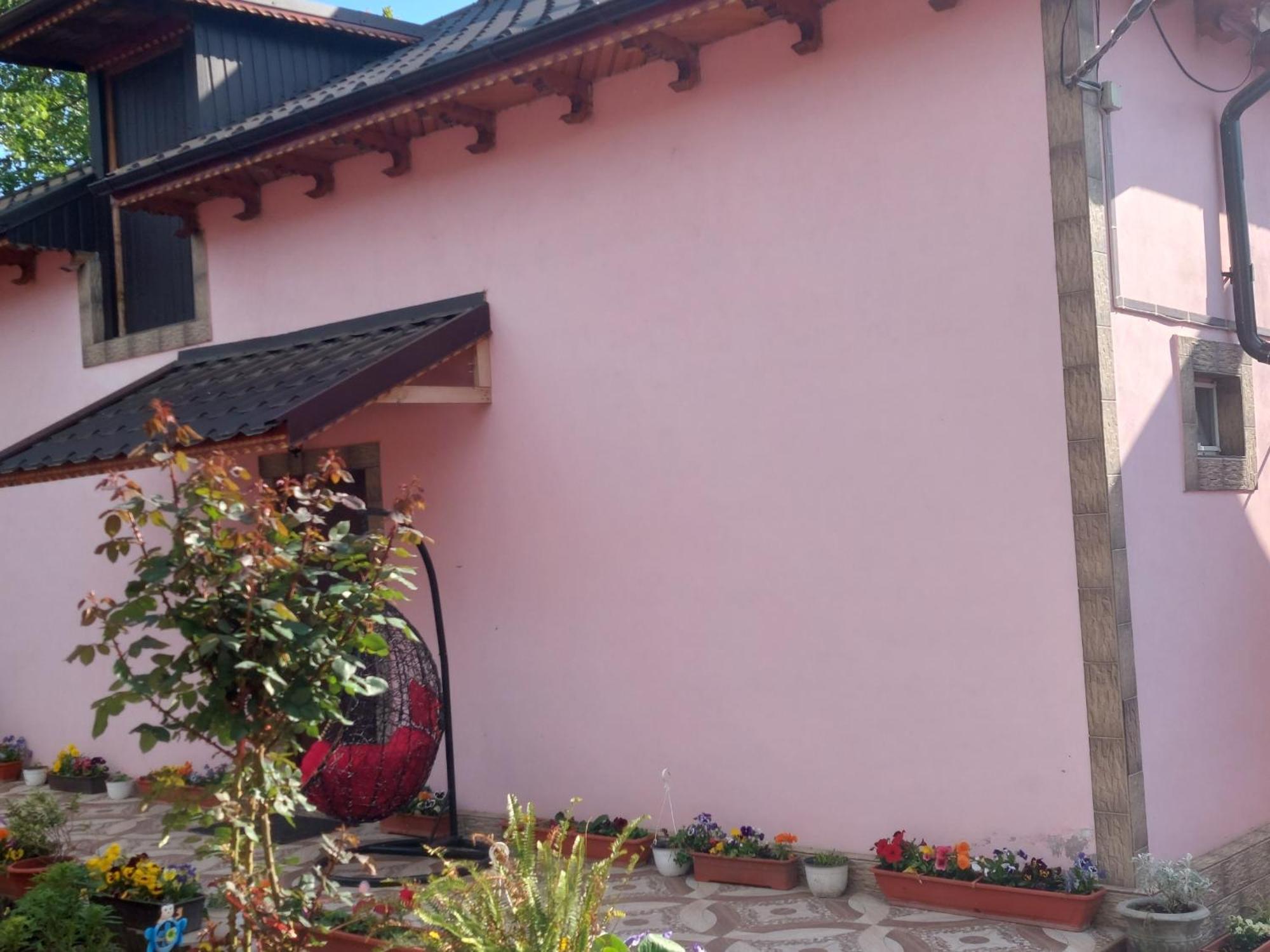 Pensiunea Happy Flowers Greci Exterior photo